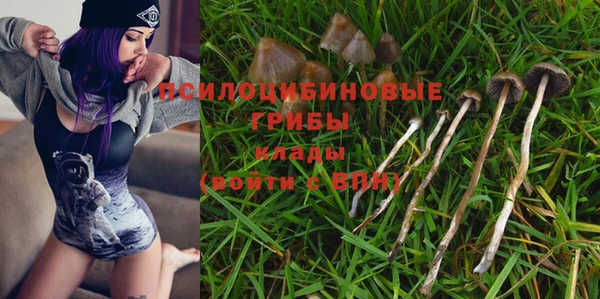 дживик Балабаново